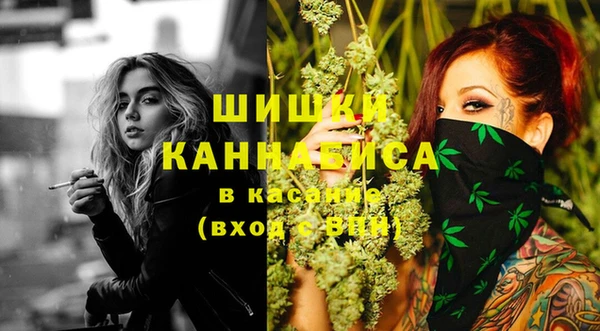 дживик Алзамай