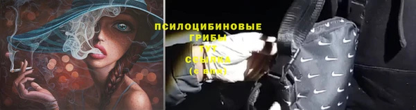 дживик Алзамай