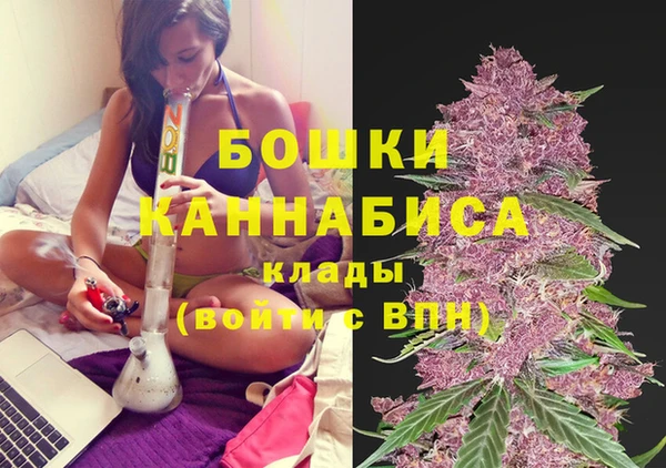 гидра Нязепетровск
